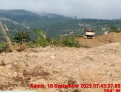 Excavator Bebas Buka Lahan di Hutan Negara Pangkalan Indarung, UPT KPH Singingi ‘Tutup Mata’. 