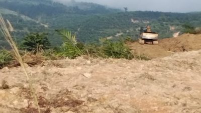 Excavator Bebas Buka Lahan di Hutan Negara Pangkalan Indarung, UPT KPH Singingi ‘Tutup Mata’. 