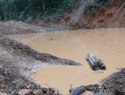 PETI Tigo Lurah & Hiliran Gumanti: Bukti Lemahnya Kapolres Solok.!