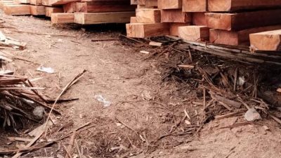 4 Titik Gudang Sawmill Ilegal di Kampar: Upaya Pembungkaman Media, Oknum Wartawan Diduga Jadi Tameng Mafia Kayu