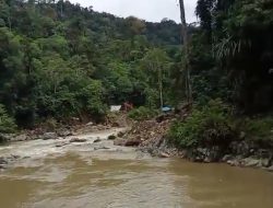 PETI Telan Korban Jiwa di Pasaman, Kapolsek Dinilai Gagal Bertindak!