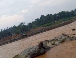 PETI Merajalela di Solok Selatan: Polres Hanya Jadi Penonton, Publik Makin Muak