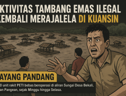 Puluhan PETI di Desa Tanah Bekali Kembali Beraksi, Warga Menunggu Respon APH.