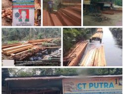Setelah Bantahan Polres Kampar, Fakta Baru Terkuak: Mafia Kayu Ilegal di Riau Tawarkan Puluhan Juta Demi Take Down Berita