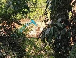 Pemblokiran WA Wartawan Konfirmasi PETI, Bukti Kemunduran Moral dan Tumpulnya Hukum di Madina