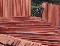 Mafia Kayu di Teluk Meranti: Big Bos “Ipat/H.Pazri” Diduga Dalang Peredaran Kayu Ilegal ke Pekanbaru