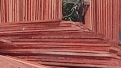 Mafia Kayu di Teluk Meranti: Big Bos “Ipat/H.Pazri” Diduga Dalang Peredaran Kayu Ilegal ke Pekanbaru