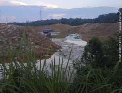 PETI Sekitar Kota di Teluk Kuantan Wilayah Hukum Polres Kuansing, Tengah Makin Merajalela