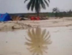 PETI di Kuantan Mudik Kian Ganas, Aparat Diam — Publik Bertanya: Ada Apa?