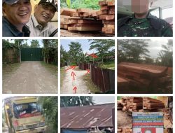 Praktik Kayu Ilegal di Riau Kian Terstruktur, Diduga Libatkan Oknum TNI