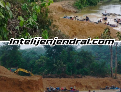 Puluhan Unit PETI Gunakan Excavator Porak-Porandakan Sungai Setingkai, Penegakan Hukum di Kampar Dipertanyakan