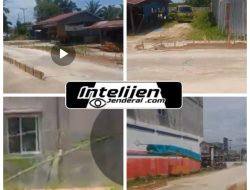 Kayu Illegal Wilayah Siak Kecil Bengkalis Hingga ke Kampar, Masih Saja Bergulir dan Diduga Ada Oknum TNI Terlibat