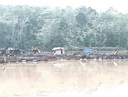 Preman Bayaran Kawal Tambang Ilegal di Dam Betuk, Wartawan Dicekik Saat Liput Aktivitas PETI — Negara Kalah di Hadapan Preman