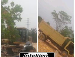 Tambang Galian C di Siak Hulu Bebas Beraktivitas Tanpa Tindakan Hukum  Ada Apa dengan APH?