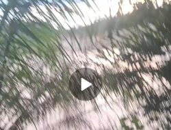 Aktivitas PETI Kembali Beroperasi di Muara Lembu, Warga Laporkan ke Wartawan