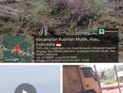 Maraknya Aktivitas PETI dan Illegal Logging di Kuantan Mudik Belum Mendapat Tindakan Nyata: Diduga Ada Pihak yang Melindungi