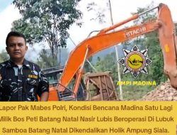 Tanpa Memikirkan Keselamatan Orang Banyak: Di Tengah Musim Bencana Sumatera, Escavator Masih Melakukan Aktivitas PETI