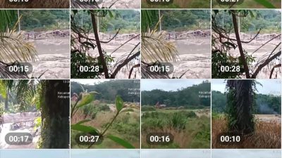 Aktivitas PETI di Wilayah TPA Sentajo Raya dan Sejumlah Lokasi Hanya Berapa Menit Jauhnya Dari Kantor Polres Kuansing, Diminta APH Bertindak Tegas