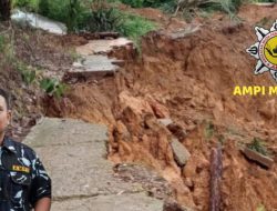 SIARAN PERS  SATMA AMPI MANDailing NATAL: Kecam Keras Aktivitas PETI di Ampung Padang, Sebut Puddin Pengendali, Jalan Usaha Tani Warga Jadi Korban