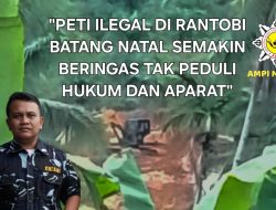 SATMA AMPI Madina: Aktivitas PETI di Rantobi Diduga Terorganisir dan Kebal Hukum