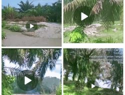 Surga Mafia Tambang di Kuansing: Aktivitas PETI Masih Mengepung Kota Teluk Kuantan, Alam Rusak, Penegakan Hukum Dipertanyakan