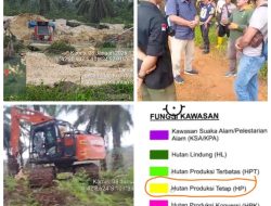 Bebasnya Ratusan Aktivitas PETI di Kawasan Hutan Produksi Tetap Kuantan Mudik Tuai Sorotan Publik