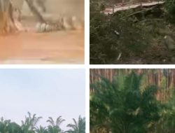 SIARAN PERS:  Maraknya Aktivitas PETI di Desa Setiang dan Pesajian, Warga Minta Tindakan Tegas Aparat