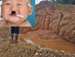 Aktivitas PETI di Desa Koto Kari, Kuantan Tengah, Masih Beroperasi di Darat dan Aliran Sungai