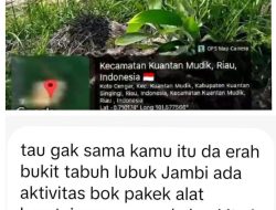 Selain Kawasan HP, Juga Hutan Lindung Bukit Betabuh Dijarah Mafia PETI dan Selain Rakit Juga Box Serta Alat Berat, Beroperasi Siang dan Malam