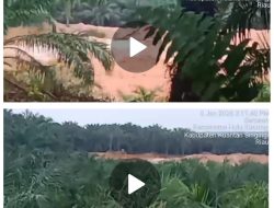 Aktivitas PETI di Serosah–Logas Kuansing Terus Berlangsung, Wartawan Alami Intimidasi dan Kekerasan