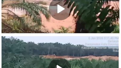 Aktivitas PETI di Serosah–Logas Kuansing Terus Berlangsung, Wartawan Alami Intimidasi dan Kekerasan