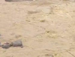 Anton Disebut Miliki Dua Ekskavator Untuk Aktivitas PETI di Kawasan Hutan Lindung Kipek, Tunjukkan Sikap Arogan ke Awak Media