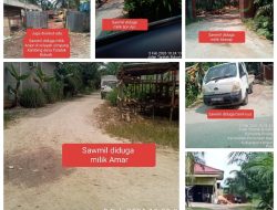 Sejumlah Sawmill Diduga Beroperasi Hasil Kayu Kawasan Hutan, Kembali Terekam Kamera GPS di Taratak Buluah