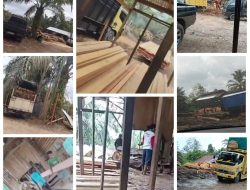 PETI dan Illegal Logging di Hutan Lindung Bukit Betabuh Kembali Marak