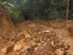 Diduga Dua ” Mafia” Tambang Emas Ilegal Disolok, Niko Saputra diduga kebal hukum, Masyarakat Lokal Minta Kapolda Sumbar Tertibkan.