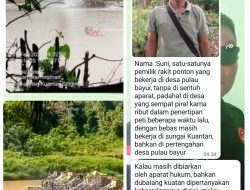 Aktivitas PETI di Wilayah Hukum Polsek Cerenti, Polres Kuantan Singingi, Dilaporkan Masih Beroperasi