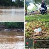 Aktivitas PETI di Wilayah Hukum Polsek Cerenti Semakin Marak, Masyarakat Keluhkan Dampak Lingkungan dan Dugaan Pembiaran