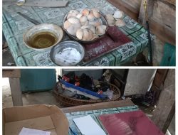 Inisial Jones, Sarbiana, dan David Diduga Terlibat Jaringan PETI Terorganisir di Inhu, Satu Lokasi Penampungan Disebut Hasilkan 0,5 Kg Emas per Hari