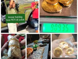 Sosok BigBos Inisial Suli Kembali Mencuat Dugaan Tambang Emas Ilegal di Kabupaten Solok dan Rantai Distribusi ke Toko Emas di Kota Solok Kian Terang