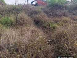 PETI Tak Pernah Benar-Benar Hilang di Muara Lembu: Puluhan Dompeng Kembali Beroperasi, Sungai Rusak, Aparat Dipertanyakan