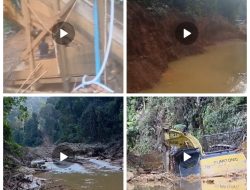 Aktivitas PETI Berskala Besar dengan Alat Berat Diduga Kembali Beroperasi di Kawasan HPT Pulau Padang, Singingi