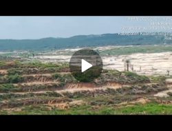 Aktivitas PETI di Desa Pantai dan Lubuk Ramo Masih Marak Meski Telah Dirazia