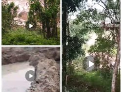 PETI Beroperasi Terang-Terangan di Jantung Kota Teluk Kuantan, Aparat dan Dinas Terkait Dipertanyakan