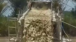 PETI Menggila di Pangean Kuansing: Puluhan Unit Beroperasi Terang-terangan, Wibawa Hukum Dipertanyakan