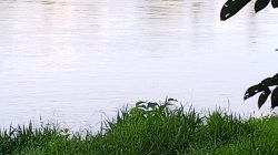 Lawan PETI, Selamatkan Masa Depan, Sungai Kuantan Bukan Untuk Dirusak: Saatnya Bertindak