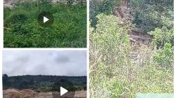 Laporan Warga, Tim Melakukan Verifikasi dan Hasilnya Ditemukan Aktivitas PETI dan Galian C Berbatasan Kebun Anggrek di Desa Logas Kuansing