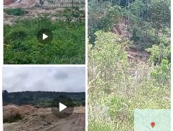 Laporan Warga, Tim Melakukan Verifikasi dan Hasilnya Ditemukan Aktivitas PETI dan Galian C Berbatasan Kebun Anggrek di Desa Logas Kuansing