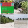 Skandal Sawit di Pulau Rupat Milik PT MMJ Diduga Kuasai Hutan hingga Bibir Laut dan Sejumlah Dugaan Mencuat Kembali