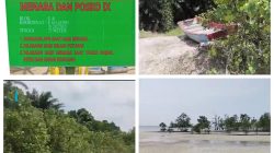 Skandal Sawit di Pulau Rupat Milik PT MMJ Diduga Kuasai Hutan hingga Bibir Laut dan Sejumlah Dugaan Mencuat Kembali