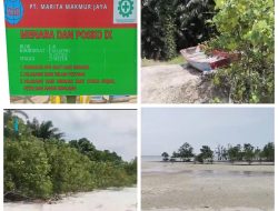Skandal Sawit di Pulau Rupat Milik PT MMJ Diduga Kuasai Hutan hingga Bibir Laut dan Sejumlah Dugaan Mencuat Kembali